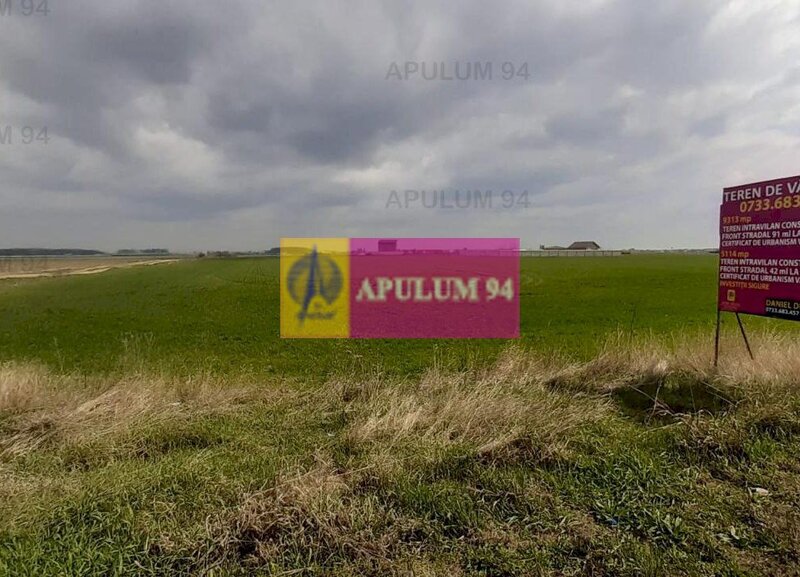 Teren Intravilan  cu front stradal la un Drum Principal langa Bucuresti